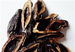 檳榔為什么會(huì)上癮？檳榔上癮怎么戒？