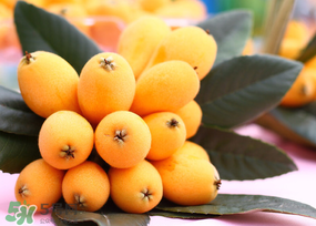 枇杷多少錢一斤？2017年枇杷多少錢一斤？