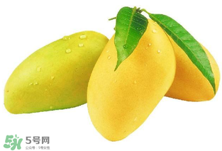 芒果哪里的最好吃？芒果哪種品種好吃？