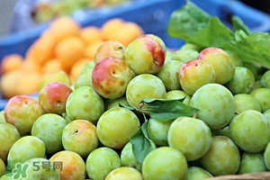 孕婦能吃李子嗎 李子孕婦能不能吃 孕婦能吃李子嗎 李子孕婦能不能吃