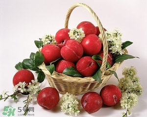 孕婦能吃李子嗎 李子孕婦能不能吃 孕婦能吃李子嗎 李子孕婦能不能吃