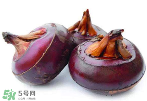 枇杷可以和荸薺一起煮水嗎？枇杷和荸薺能一起吃嗎？