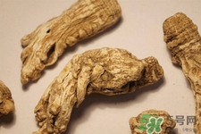 川芎的營(yíng)養(yǎng)價(jià)值 川芎的功效與作用 川芎的營(yíng)養(yǎng)價(jià)值 川芎的功效與作用