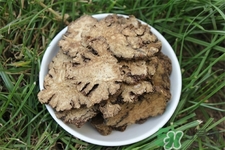 川芎的營(yíng)養(yǎng)價(jià)值 川芎的功效與作用 川芎的營(yíng)養(yǎng)價(jià)值 川芎的功效與作用