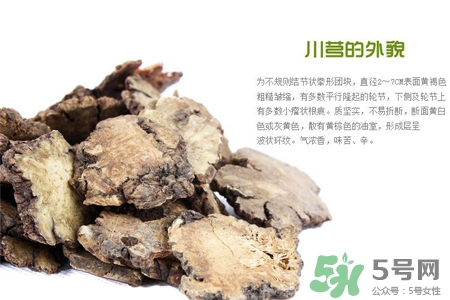 川芎的營(yíng)養(yǎng)價(jià)值 川芎的功效與作用 川芎的營(yíng)養(yǎng)價(jià)值 川芎的功效與作用