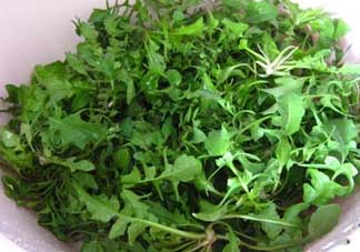 薺菜和醋能一起吃嗎？醋拌薺菜能吃嗎？