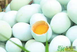 薺菜和鴨蛋能一起吃嗎？薺菜可以煮鴨蛋嗎？