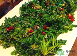 野生薺菜孕婦能吃嗎？野薺菜孕婦可以吃嗎？