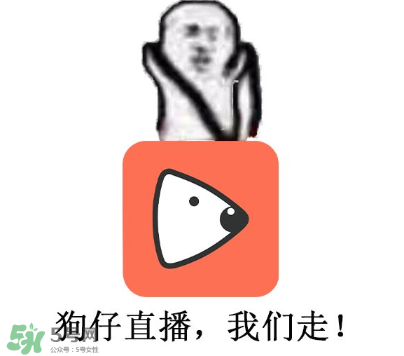 黃鱔為什么火了？黃鱔我們走為什么火了？