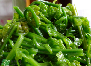 蕨菜什么人不能吃？哪些人不能吃蕨菜？