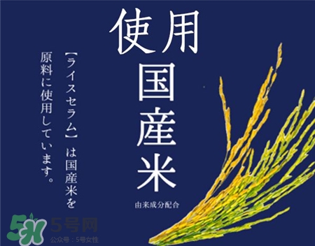 石澤研究所大米面膜好用嗎?日本大米面膜怎么樣? 石澤研究所大米面膜好用嗎?日本大米面膜怎么樣?