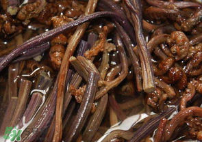 蕨菜能吃嗎？蕨菜可以吃嗎？