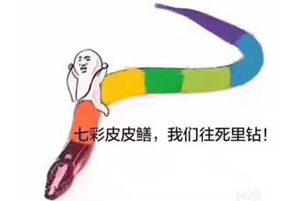 七彩皮皮鱔我們往死里鉆是什么意思？七彩皮皮鱔我們?nèi)€(gè)好地方是什么意思？