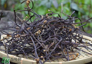 干蕨菜致癌嗎？干蕨菜致癌是真的嗎？