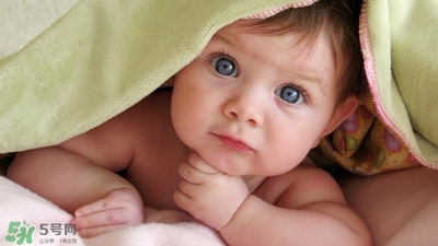 寶寶鹵門在哪里 鹵門在哪個位置 寶寶鹵門在哪里 鹵門在哪個位置