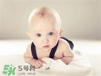 寶寶鹵門在哪里 鹵門在哪個位置 寶寶鹵門在哪里 鹵門在哪個位置