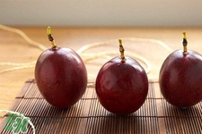 青的百香果可以悶熟嗎？百香果青的能吃嗎？