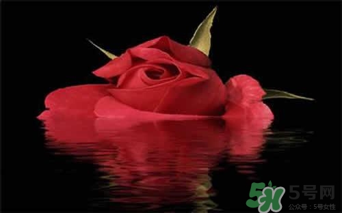 玫瑰水可以做面膜嗎？玫瑰水怎么做面膜？