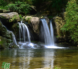 5月份去廬山穿什么？五月份去廬山穿什么衣服？