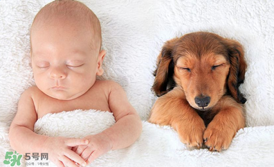 益生菌嬰兒怎么吃？益生菌嬰兒的吃法