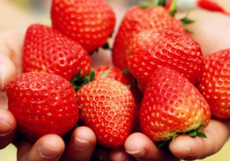 五月份還有草莓嗎？5月份還有草莓嗎？