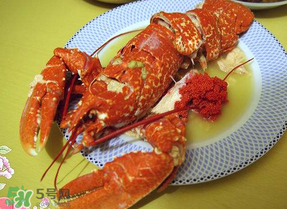 龍蝦多少錢一斤？龍蝦多少錢一斤2017？