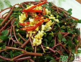 馬齒莧開(kāi)花后還能吃嗎?馬齒莧開(kāi)花后可以吃嗎? 馬齒莧開(kāi)花后還能吃嗎?馬齒莧開(kāi)花后可以吃嗎?