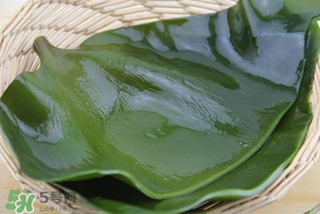 孕婦能吃海帶嗎？孕婦可以吃海帶嗎？