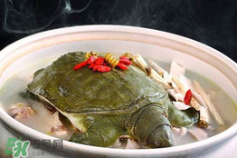 懷孕初期能吃甲魚嗎？懷孕初期可以吃甲魚嗎？