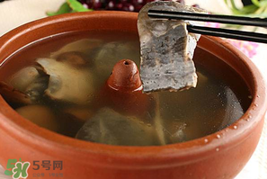 懷孕初期能吃甲魚嗎？懷孕初期可以吃甲魚嗎？