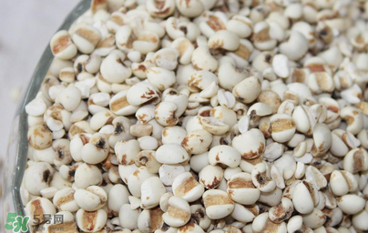 孕婦能吃米仁嗎？孕婦可以吃米仁嗎？