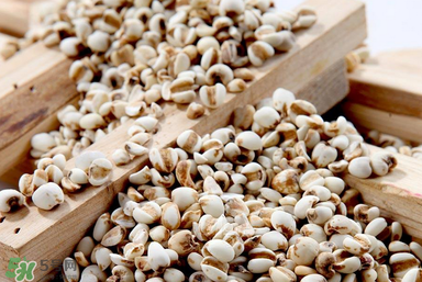 孕婦能吃米仁嗎？孕婦可以吃米仁嗎？