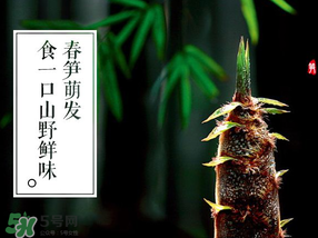 春筍多少錢(qián)一斤？春筍多少錢(qián)一斤2017？