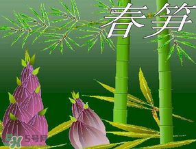 春筍多少錢(qián)一斤？春筍多少錢(qián)一斤2017？