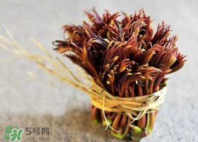 香椿幾月份可以吃？香椿什么時候吃？