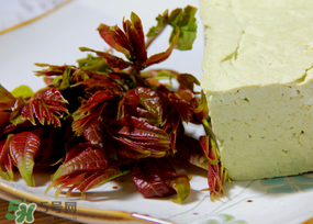 香椿為什么會苦？香椿苦味怎么回事？