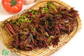 香椿為什么會苦？香椿苦味怎么回事？