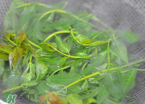 香椿為什么要焯水？香椿怎么焯水？