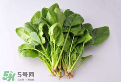 孕婦可以吃菠菜嗎？孕婦菠菜吃多了會怎樣？