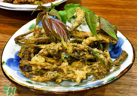 香椿什么時候吃？香椿什么時候不能吃？