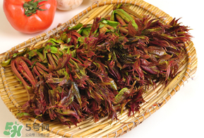 香椿什么時候吃？香椿什么時候不能吃？