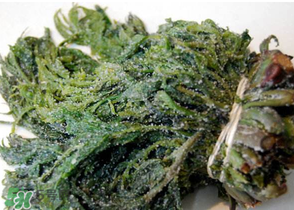 香椿腌制多久可以吃？香椿腌多長時(shí)間能吃？