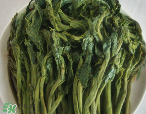 香椿腌制多久可以吃？香椿腌多長時(shí)間能吃？