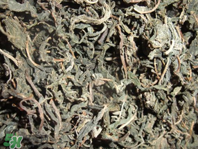 香椿可以曬干嗎？香椿怎么曬干？