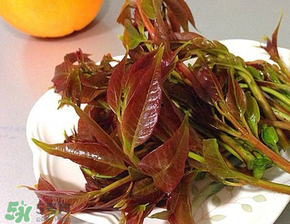 香椿可以冷凍嗎？香椿凍了能吃嗎？