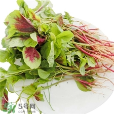 莧菜根的營(yíng)養(yǎng)價(jià)值 莧菜根的功效與作用 莧菜根的營(yíng)養(yǎng)價(jià)值 莧菜根的功效與作用