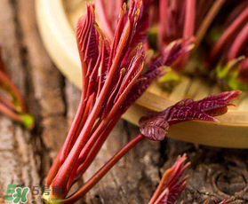 香椿能放冰箱嗎？香椿放冰箱能保存多久？