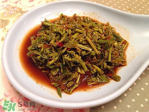 香椿苦能吃嗎？香椿苦怎么做好吃？