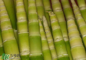 竹筍不焯水有毒嗎？竹筍不過(guò)水能吃嗎？
