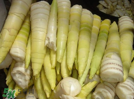 竹筍有毒嗎？吃竹筍會(huì)中毒嗎？